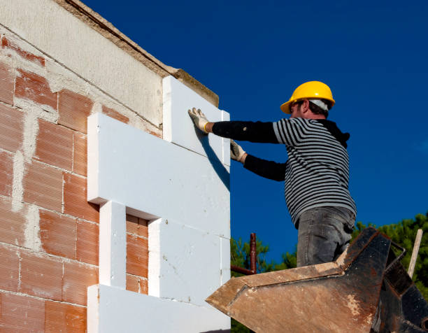 Best Fiberglass Insulation  in Joplin, MO