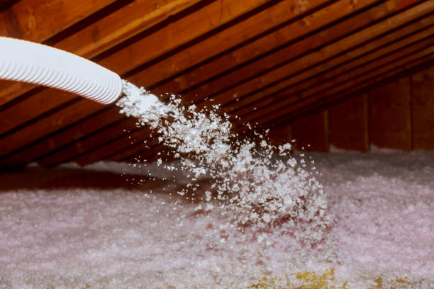 Best Insulation Replacement Services  in Joplin, MO