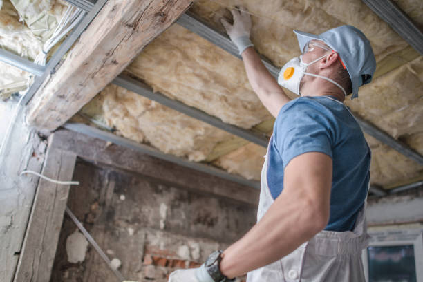 Best Attic Insulation Installation  in Joplin, MO