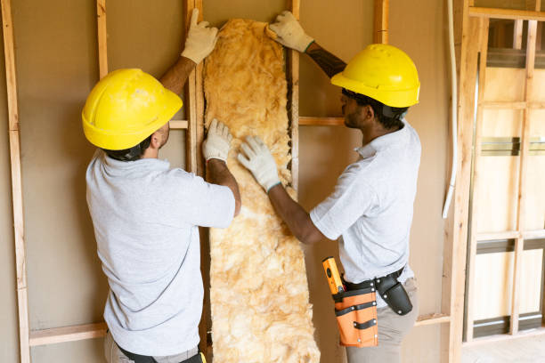 Insulation Inspection Services in Joplin, MO